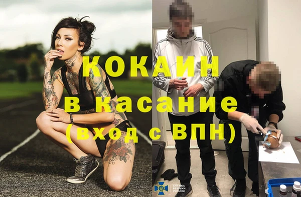 прущая мука Арсеньев
