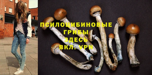 герыч Аркадак