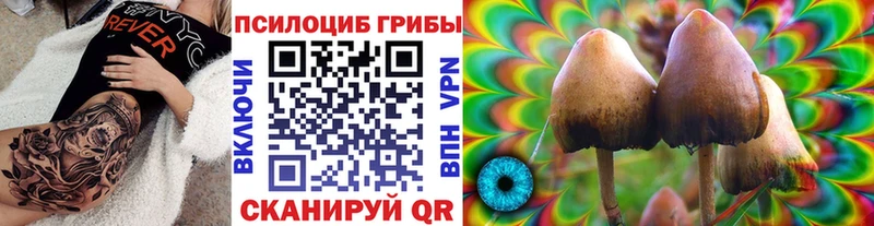 даркнет клад  купить наркоту  Городец  Псилоцибиновые грибы Psilocybine cubensis 
